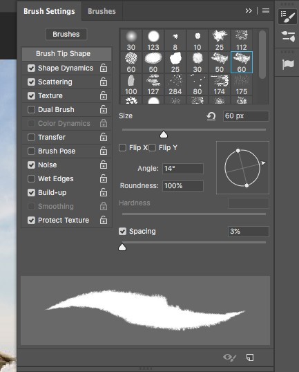 The Clone Stamp Tool - Brush Settings 