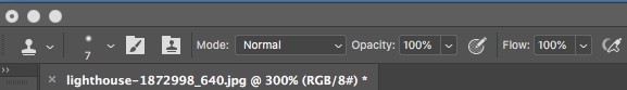 The Clone Stamp Tool  - Changing Opacity 