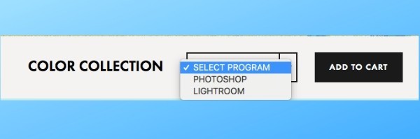 photoshop and lightroom options