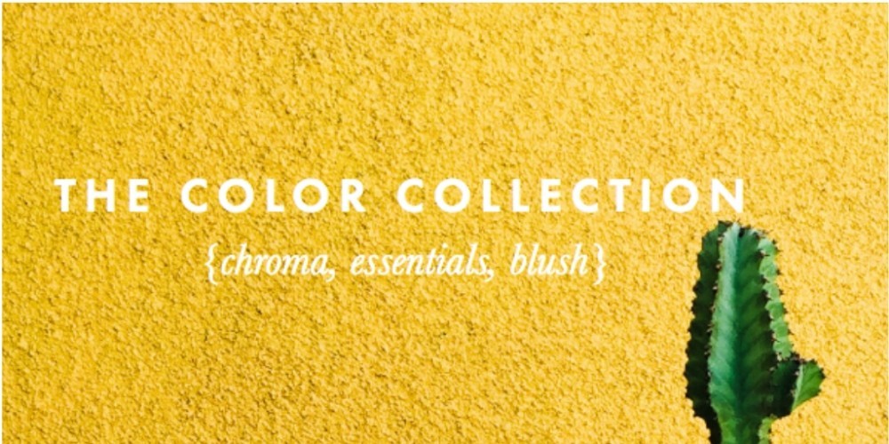 the color collection photoshop and lightroom presets graphic