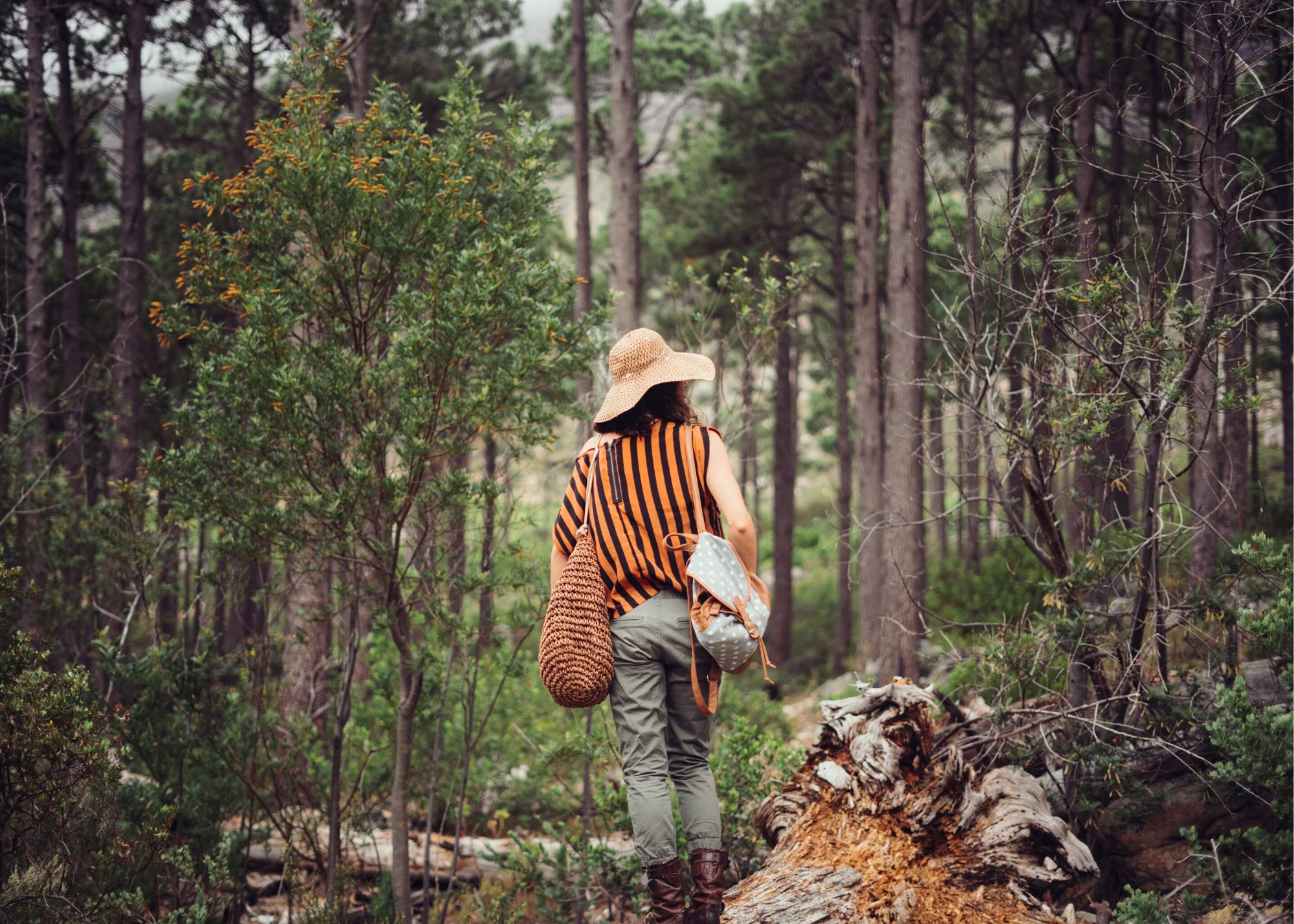 25 Blog Post Ideas For Photographers - Girl In Forest