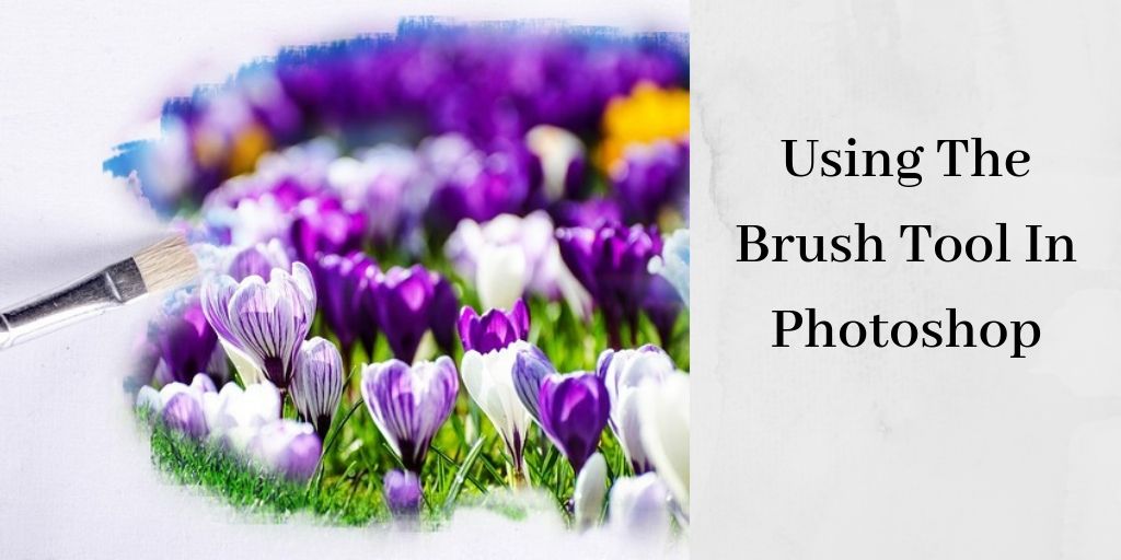 How To Use The Brush Tool In Photoshop - Paintbrush And Flowers