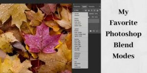 using blending modes in photoshop with fall leaves
